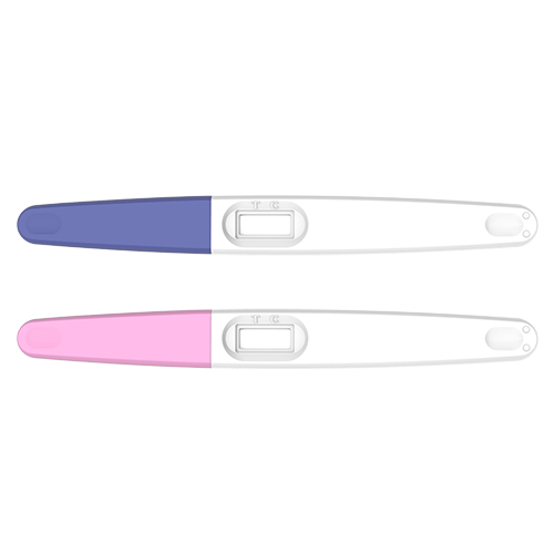 Pregnancy Test Kit